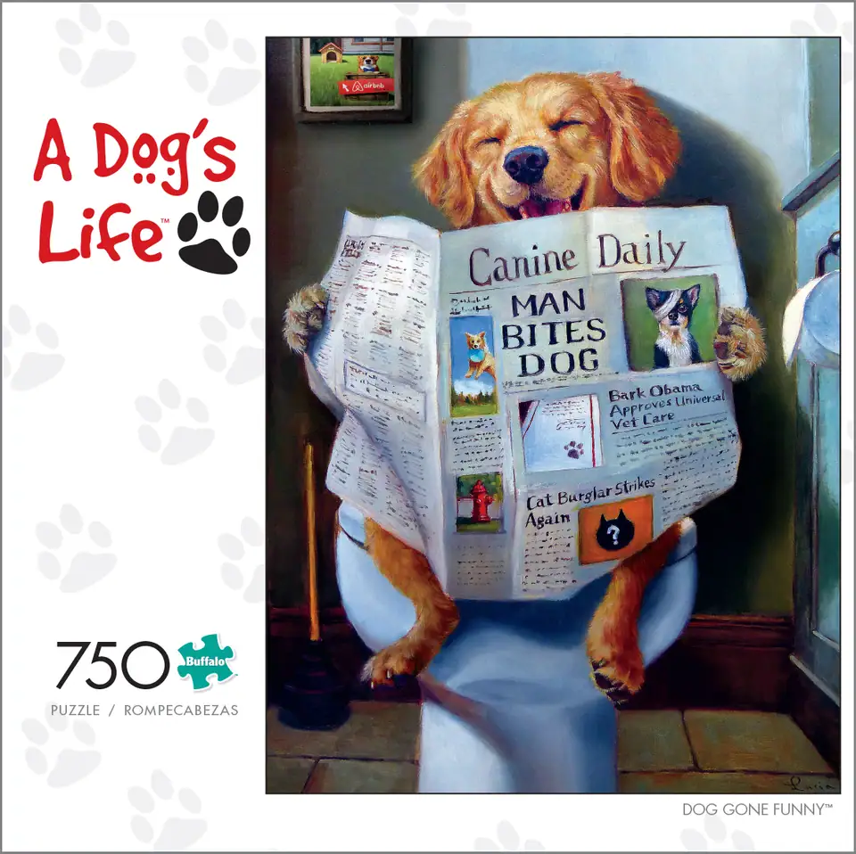 dog gone funny