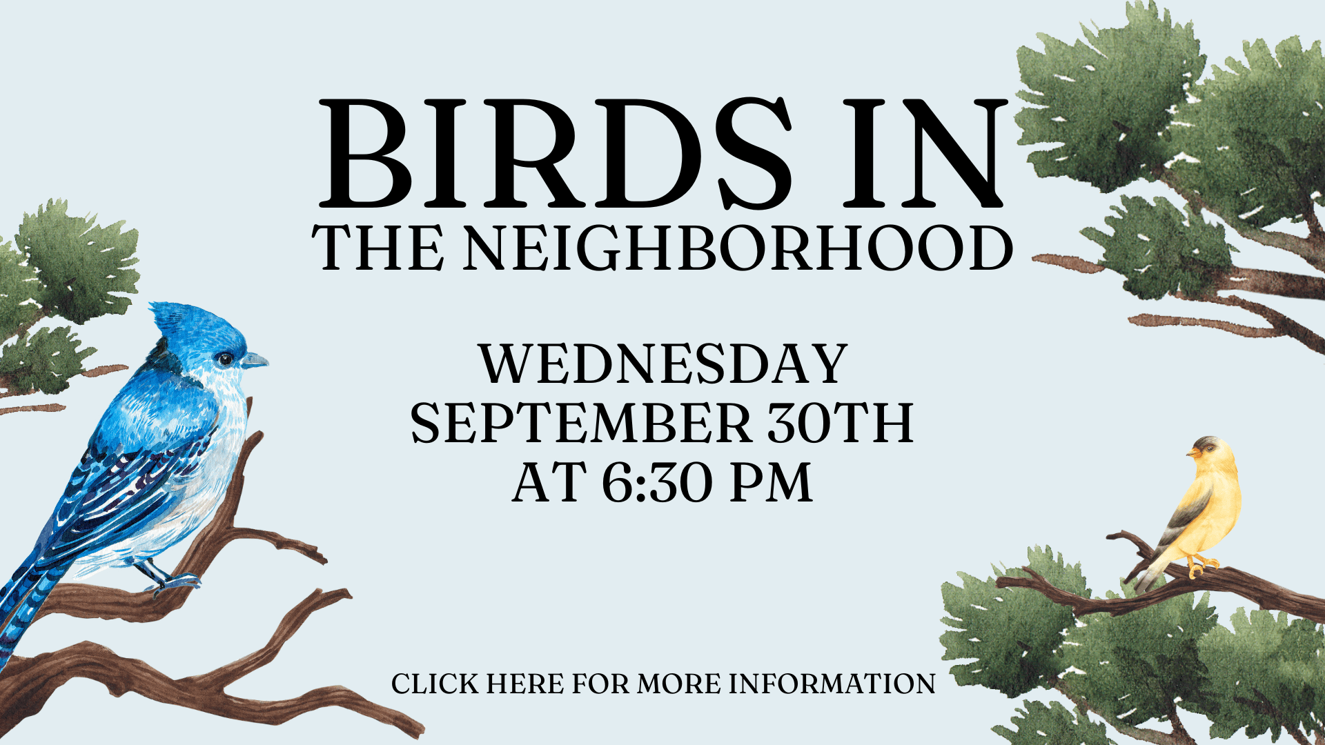Illustrated flyer with blue and yellow birds on branches, text reads: “Birds in the Neighborhood, Wednesday, September 30th at 6:30 PM. Click here for more information.”.
